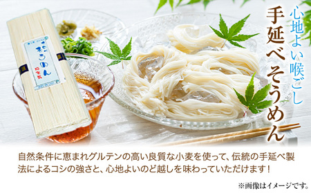 麺詰め合わせ T5 中華麺 焼きそば そうめん 麺工房さかもと《90日以内に発送予定(土日祝除く)》岡山県 浅口市 送料無料 手延べ セット 贈り物 ギフト 無かんすい 冷やし中華 やきそば 素麺