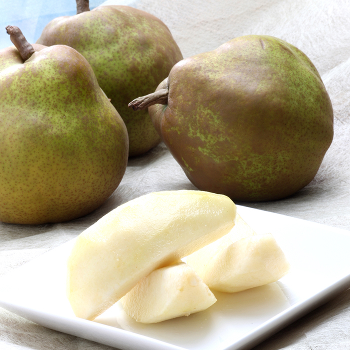 山形のラ・フランス 秀 約3kg(6～9玉・3L～6L)[12月発送]【令和