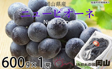 ぶどう 2026年 先行予約 ニュー ピオーネ 約600g×1房  岡山県産 ピオーネ