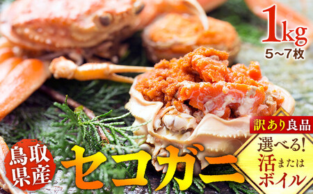 【ボイル】鳥取県産 セコガニ 訳あり良品 1ｋg（5～7枚）| セコガニ 訳あり活 足1本  不揃い たっぷり  ※2025/11/6～2025/12/25に順次発送予定 ※着日指定不可  離島不可（北海道、沖縄本島は配送可能）