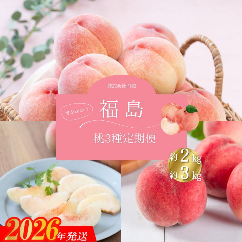 【ふるさと納税】厳選！福島の桃 3種定期便 各約2kg 各約3kg【2026年発送　先行予約】