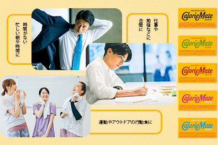 【3回定期便】≪チョコレート味≫ カロリーメイトブロック 2本入り 計20箱 ×3回 合計60箱【徳島 那賀 大塚製薬 カロリーメイト チョコ ビタミン ミネラル たんぱく質 脂質 糖質 5大栄養素 