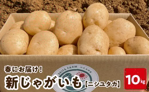 【2026年先行予約】新じゃがいも ニシユタカ 10kg 2月お届け　C056-005-01