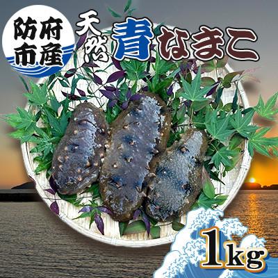 ふるさと納税 防府市 【先行受付】防府市産天然青なまこ1kg