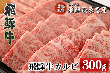 【2025年12月発送】飛騨牛カルビ焼肉 300g 　焼肉 牛肉 国産 ブランド牛 【冷凍】牛 肉 焼き肉 焼肉用 焼き肉用 ギフト 贈答 肉ギフト 贈り物 高級 下呂市【22-3(12)】