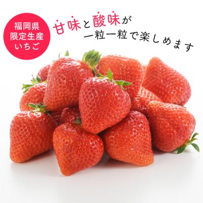 ふるさと納税 新宮町 【人気】九州・福岡フルーツ王国.旬のフルーツ定期便Kセット【あまおう】【甘うぃ】.BF028 |  | 02