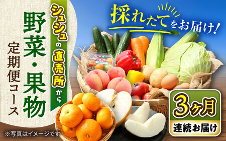 【3回定期便】シュシュの直売所から野菜・果物定期便コース 大村市 おおむら夢ファームシュシュ[ACAA164]