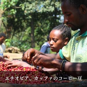 ガルテンビコーヒー 2種飲み比べセット　豆のまま　500g（250ｇ×2袋）
