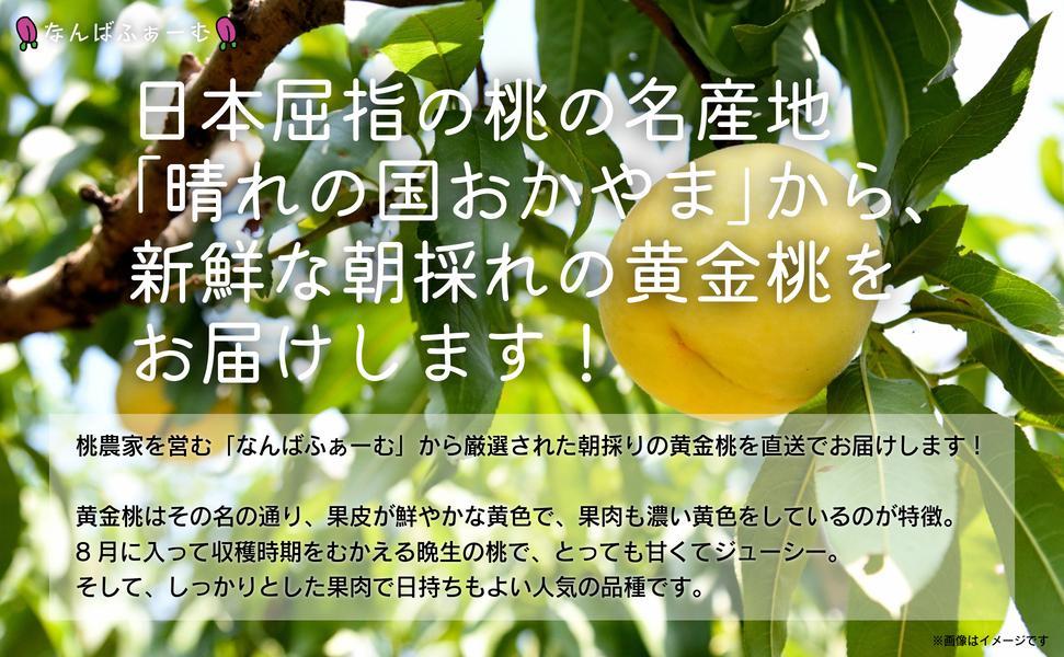 【2025年先行予約】［なんばふぁーむ］岡山県産 黄金桃 4.0kg（11～14玉）［ご家庭用］