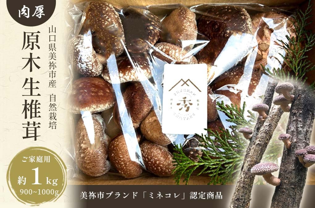 
                  【先行予約】肉厚椎茸 原木 生 椎茸 ( 大きさ ・ 種類 いろいろ ) 約 900g ～ 1kg ＜2026年 3月以降発送予定 ＞ | しいたけ 椎茸 キノコ きのこ 家庭用 特産品 美祢市 美祢 山口県 肉厚 原木 濃厚 900g 1kg
                