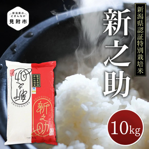 令和6年産 新潟県産 新之助 精米10kg（5kg×2）