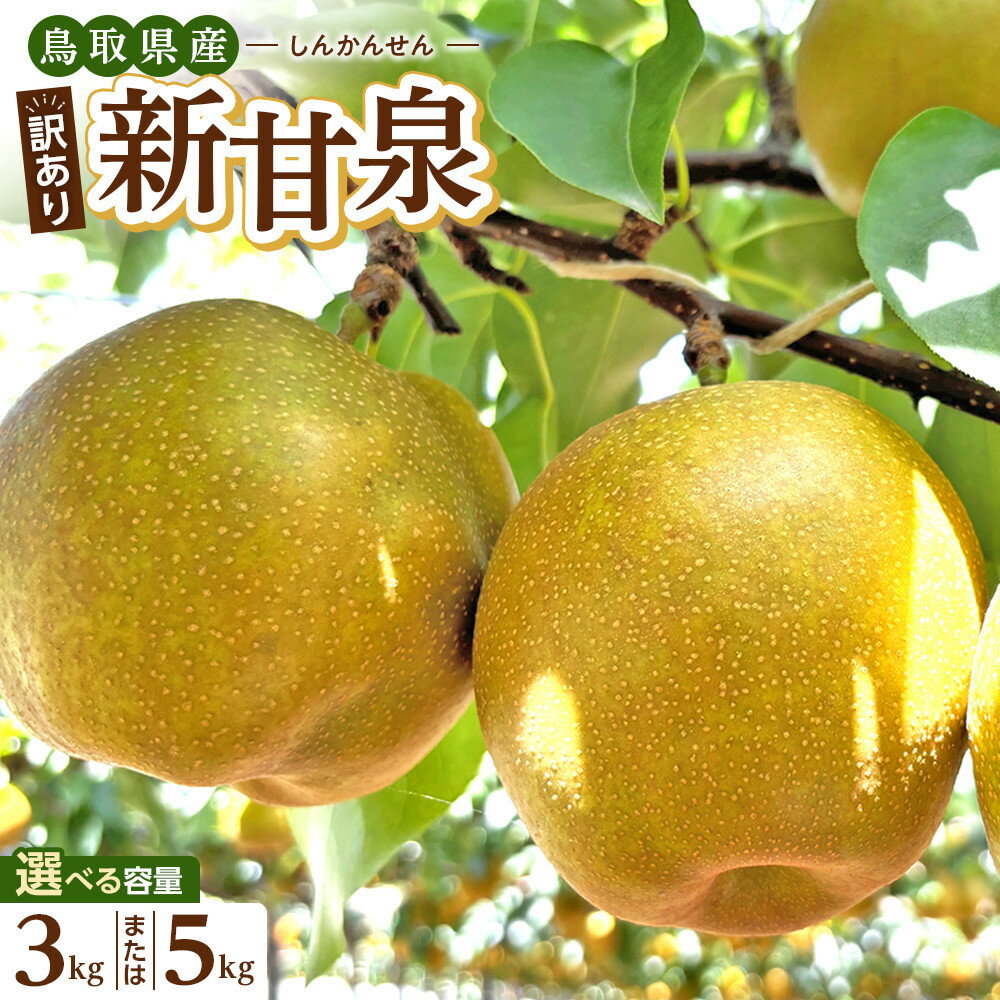 【ふるさと納税】【容量選択可】【2026年度発送先行予約】訳あり　新甘泉　3kg又は5kg