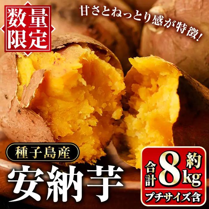安納芋 さつまいも 計8kg (S・M・L +プチサイズ) 【種子島安納大地】n225