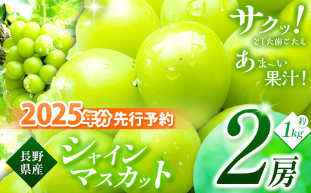 《寄付金額改定しました！》【先行予約】絶品！シャインマスカット 2房【9月中旬頃～発送予定】| シャイン ぶどう 葡萄 ブドウ くだもの 果物 フルーツ マスカット しゃいん ますかっと 先行 先行予約 旬 塩尻市 長野 信州