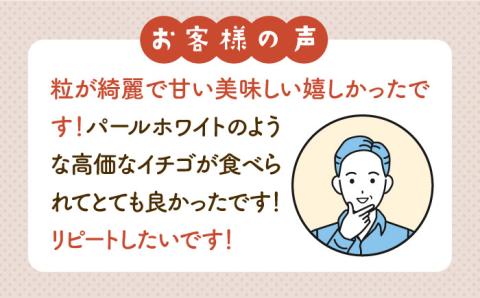 【先行予約】【農家直送】赤白いちご「いちごさん」＆「パールホワイト」セット 各220g【かわさきいちご】 [IBG002]