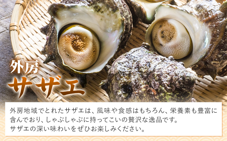 豪華!!外房つりきんめ鯛と外房サザエのしゃぶしゃぶセット 約300g×1p サザエ50g×1p 90日以内に出荷予定(土日祝除く) 株式会社 サラヤ保崎商店【配送不可地域：離島】魚介 しゃぶしゃぶ 鍋