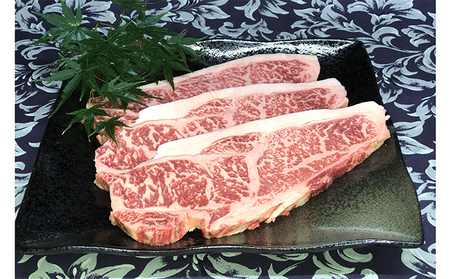 若狭牛 プレミアムセット（ サーロインステーキ用 モモ焼肉用 ローススライス ） 牛肉 お肉 