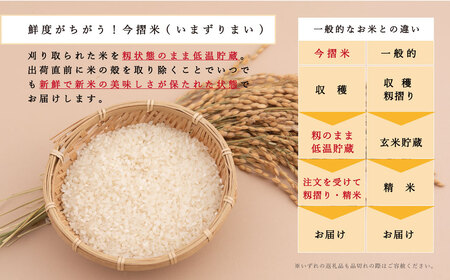 令和6年産 無洗米 11kg ブランド米 籾貯蔵今摺米 きたくりん 北海道米 当麻町 お米 10kg 以上 送料無料 定期便 アリ 米【A-006】