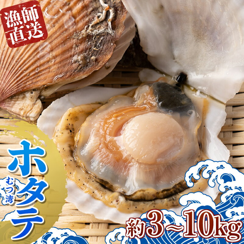 【ふるさと納税】≪容量が選べる≫漁師直送 青森県 むつ湾 ホタテ(2年貝) 約3kg～10kg【龍運丸 水産】 ほたて 帆立 活ほたて 貝柱 殻付き 魚介 青森 東北 陸奥湾 F21J-180var