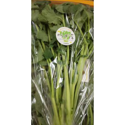 ふるさと納税 秦野市 2026年春   ええ?大飢饉を救った?【春を告げる野菜】のらぼう菜　800g