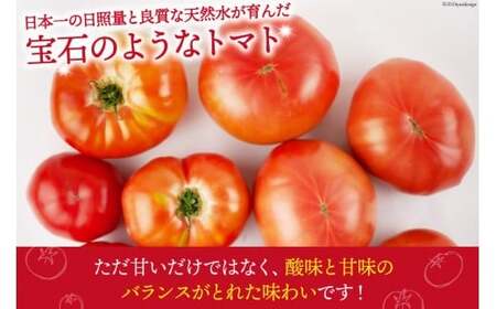 【ふるなびWEEK対象】【2026年10月下旬-12月下旬発送予定】 秋作 訳あり 桃太郎トマト 2kg [ヨダファーム]  