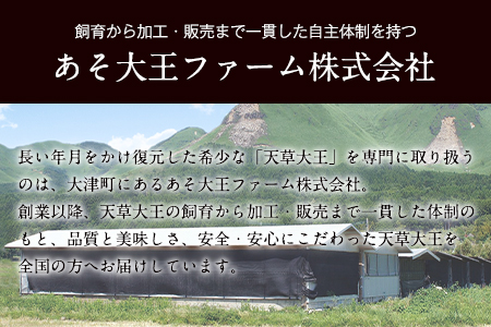 天草大王　贅沢1羽セット《60日以内に出荷予定(土日祝除く)》約1.5kg【幻の地鶏】もも・むね・ささみ 各2枚 熊本県産 あそ大王ファーム株式会社