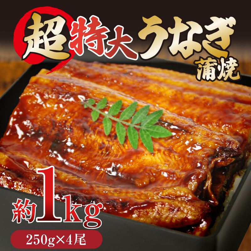 うなぎ 蒲焼き ( 特大 計1kg 250g×4尾 ) ご飯にかける専用タレ付き！ 冷凍  | うなぎ うなぎ うなぎ うなぎ うなぎ うなぎ 鰻 鰻 鰻 鰻 鰻