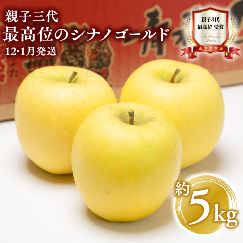 【12月・1月発送】 親子三代最高位のシナノゴールド約5kg【全国ふじコンテスト最高賞受賞農園・平川市広船産りんご】