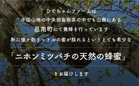 日本ミツバチ　ひでちゃんの蜂蜜