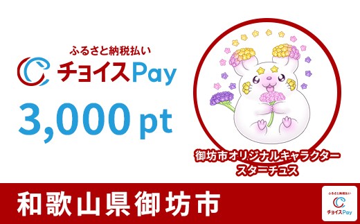 
            御坊市チョイスPay 3,000pt【会員限定のお礼の品】
          