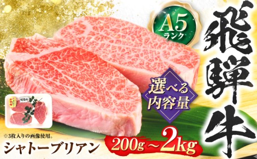 飛騨牛 A5等級 シャトーブリアンステーキ 4枚 計800g（200g/1枚） 牛肉 肉 お肉 ステーキ 岐阜市 / 肉の松久 [ANIP086]