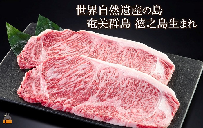 世界が認めた自然が残る。奄美群島徳之島生まれの牛さんです。
