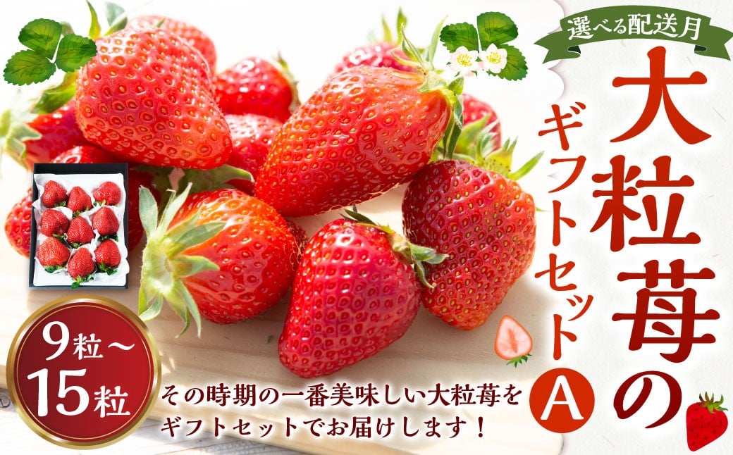 
                  よかもんいちご 大粒苺のギフトセットA  【2025年12月～2026年4月 出荷予定】 いちご イチゴ 苺 大粒 フルーツ 果物 贈答 贈り物 ギフト 九州 福岡 うきは市
                