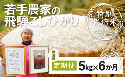 《先行予約》【無洗米】令和8年産 米 定期便 こしひかり 特別栽培米 5kg×6か月 合計30kg 若手受賞農家 池本農園 こだわりのお米