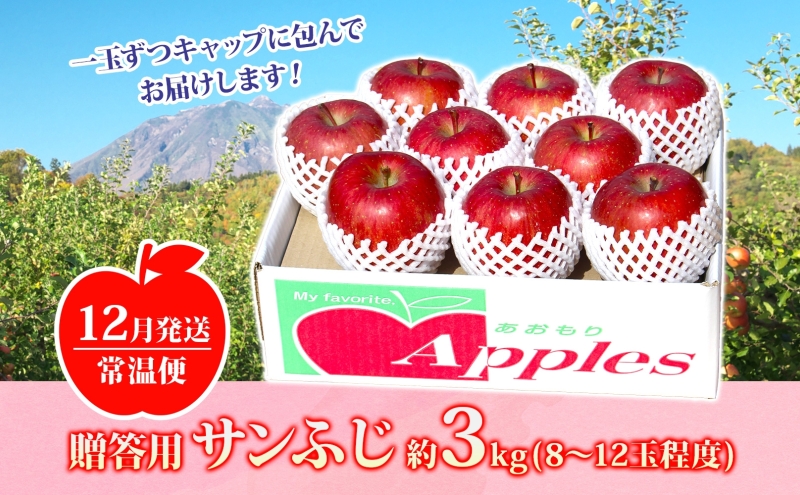 りんご 【12月発送】糖度13度～ 贈答用 サンふじ 約3kg　リンゴ 林檎 青森りんご 糖度 13度 甘い 酸味 デザート フルーツ 果物 お取り寄せ 産地直送 旬 季節限定 弘果物流 青森県 西目屋村 西目屋村産