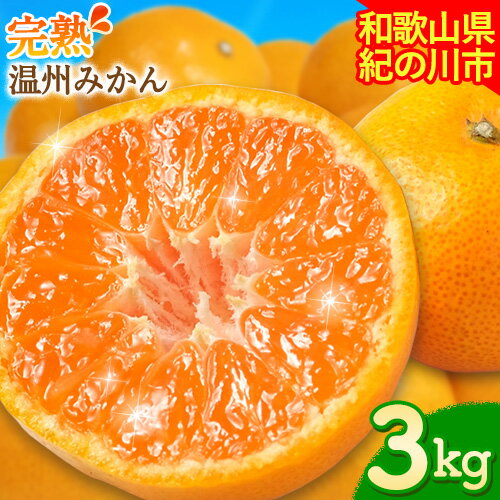 【先行予約】【ふるさと納税】完熟 温州みかん 約3kg (35~40玉) こだまファーム《2025年10月中旬-2026年2月中旬頃出荷》 和歌山県 紀の川市 みかん ミカン 果物 フルーツ