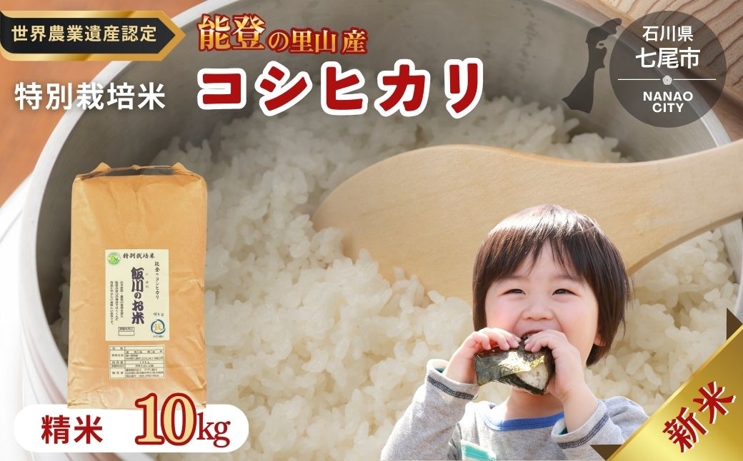 
                  米 /能登のコシヒカリ　飯川のお米　10kg（精米10kg×1袋）特別栽培米 ※2026年10月～発送 石川県 七尾市
                