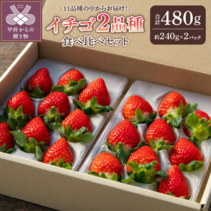 【ふるさと納税】 いちご 先行予約 食べ比べ 2026年 25/26年 セット 採れたて フルーツ 2品種 約240g×2パック 冷蔵 山梨 甲府市産 k222-001