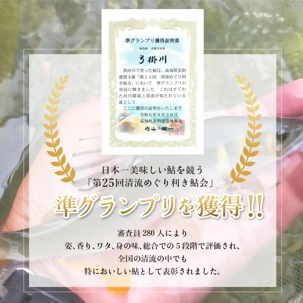 （2026年8月上旬頃から発送）幻の弓掛鮎 6尾セット【冷凍パック】【107-1】