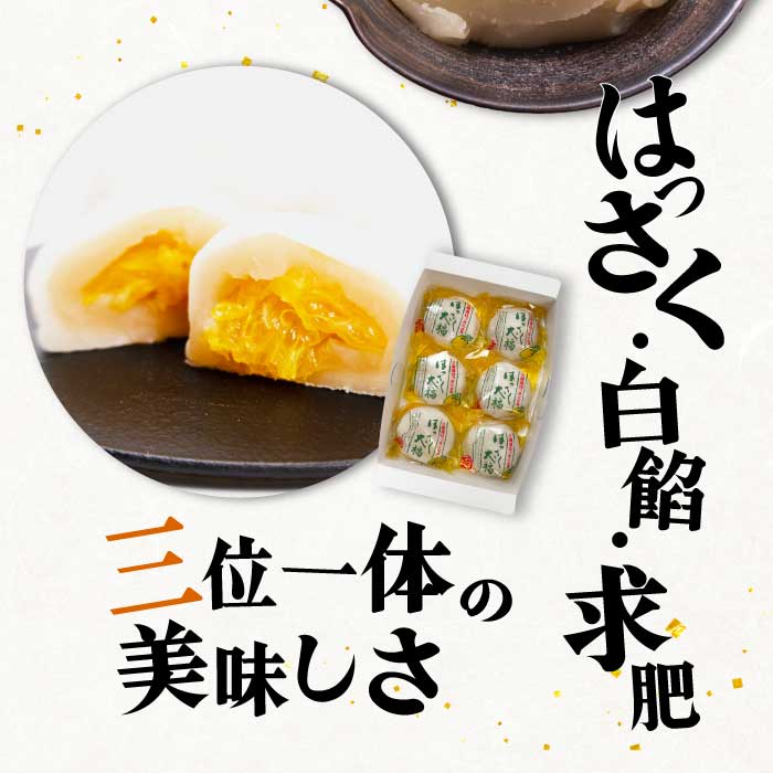 【先行受付】はっさく大福6個入×2箱 2026年11月頃～順次発送予定  ゑびす家 八朔 柑橘 求肥 スイーツ 和菓子 フルーツ 手土産 ギフト 021005