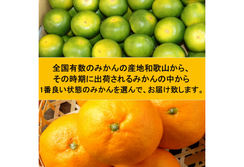 【8011-1】厳選みかん定期便5kg　2回（11月、12月）《先行予約》固定月にお届け予定