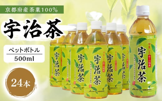 【宇治茶】京都産 宇治茶 ペットボトル 500 ml × 24本 （ 京都府産 京都産 お茶 茶 京都 宇治 宇治茶 宇治抹茶 緑茶 ペットボトル 500 24本 煎茶 かぶせ茶 宇治抹茶 熱中症対策 熱中症予防 熱中症 ）