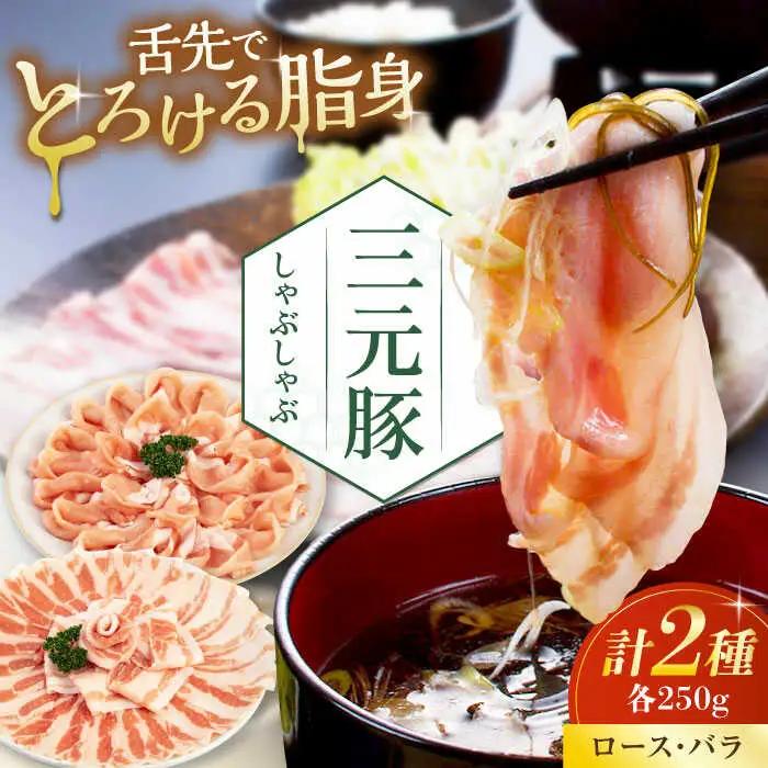  しゃぶしゃぶ セット 500g しゃぶしゃぶ 豚肉 AJAP066