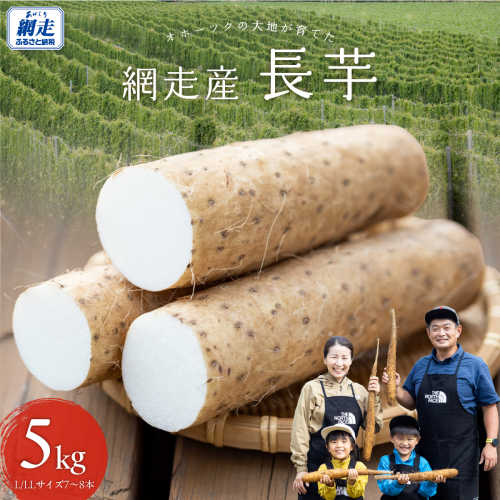 【先行予約】長芋 5kg（2026年11月下旬以降順次発送） ABBX002