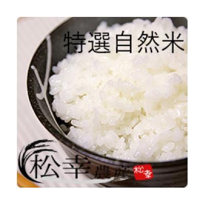 ふるさと納税 伊勢市 特選自然米 コシヒカリ 10kg 1451