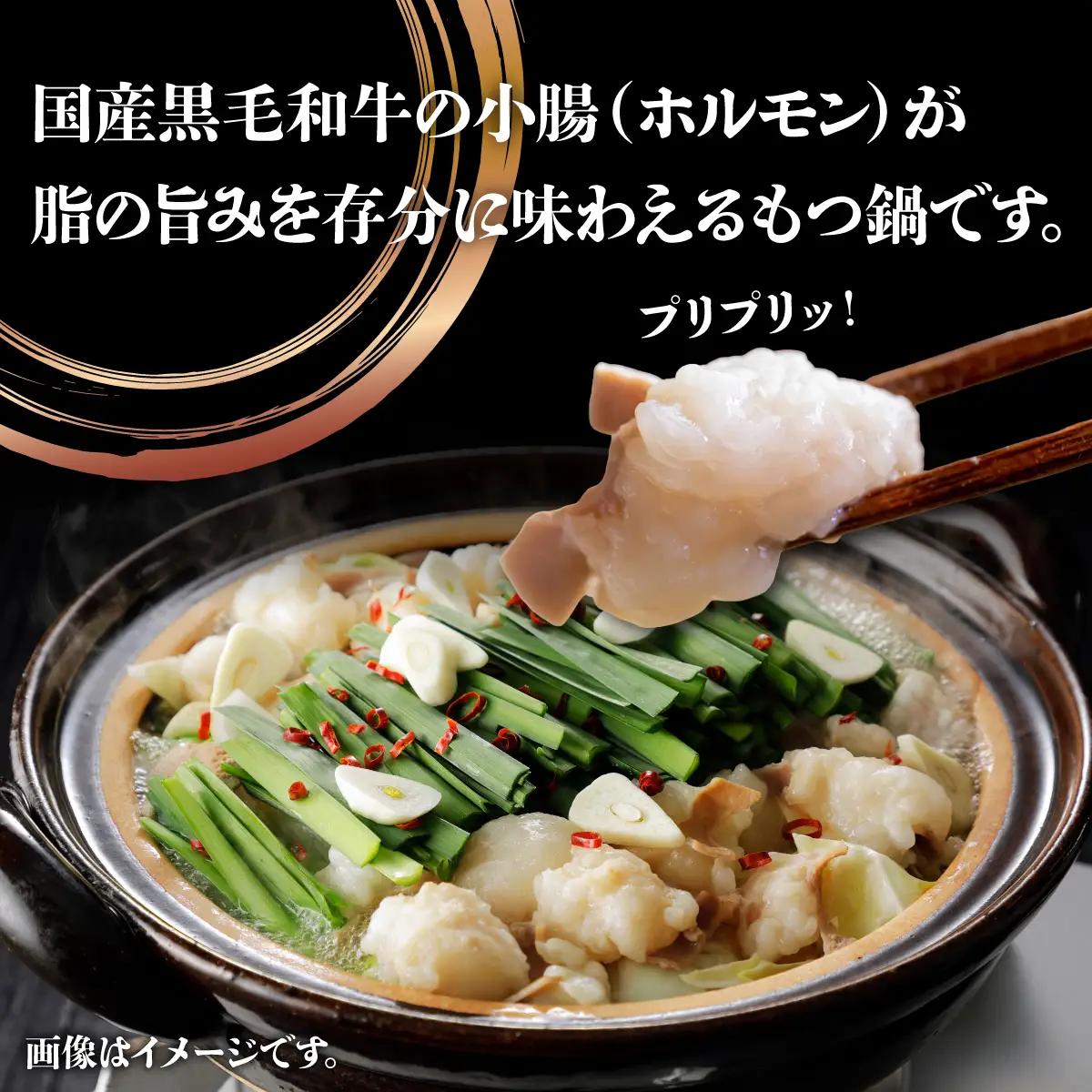 国産牛もつ鍋（6人前）【みそ味】【KT004】