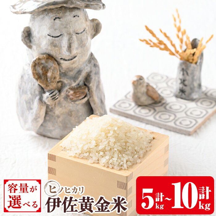 【ふるさと納税】《容量が選べる・数量限定》小北農場のお米 伊佐黄金米〈ヒノヒカリ〉(5kg or 10kg) 鹿児島 伊佐 お米 特別栽培米 伊佐米 白米 ヒノヒカリ ひのひかり おにぎり ごはん 【小北農場】