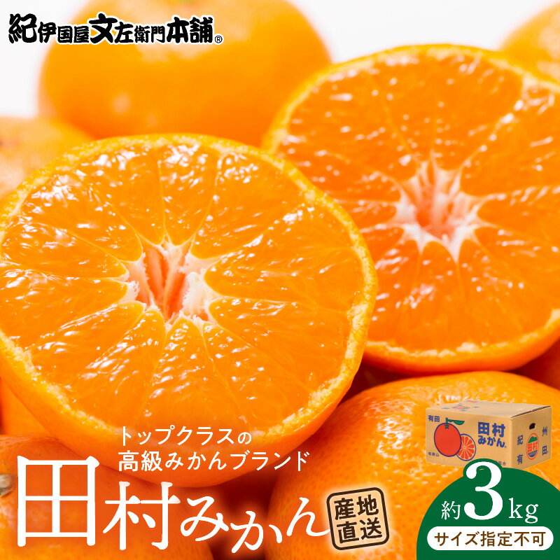 【ふるさと納税】【限定】 田村みかん／特選ギフト品3kg／サイズ指定なし／紀州和歌山有田郡湯浅町田村地区産／最高級プレミアムブランドの田村ミカン／紀伊国屋文左衛門本舗(お届け日指定不可)