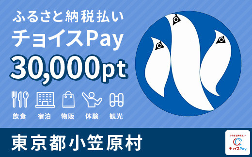 
小笠原村チョイスPay 30,000pt（1pt＝1円）【会員限定のお礼の品】
