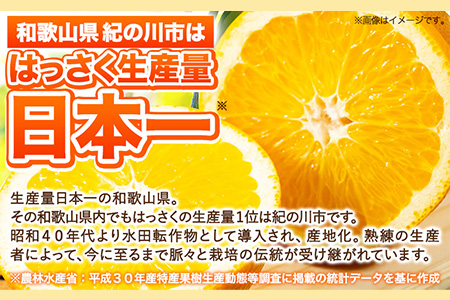 はっさく 八朔 【訳あり/サイズ不選別 】はっさく 約9kg (4L~Sサイズ)早生･晩生指定不可 《2024年2月上旬-4月中旬頃より順次出荷》和歌山県 紀の川市 産地直送 みかん 八朔 柑橘 果物